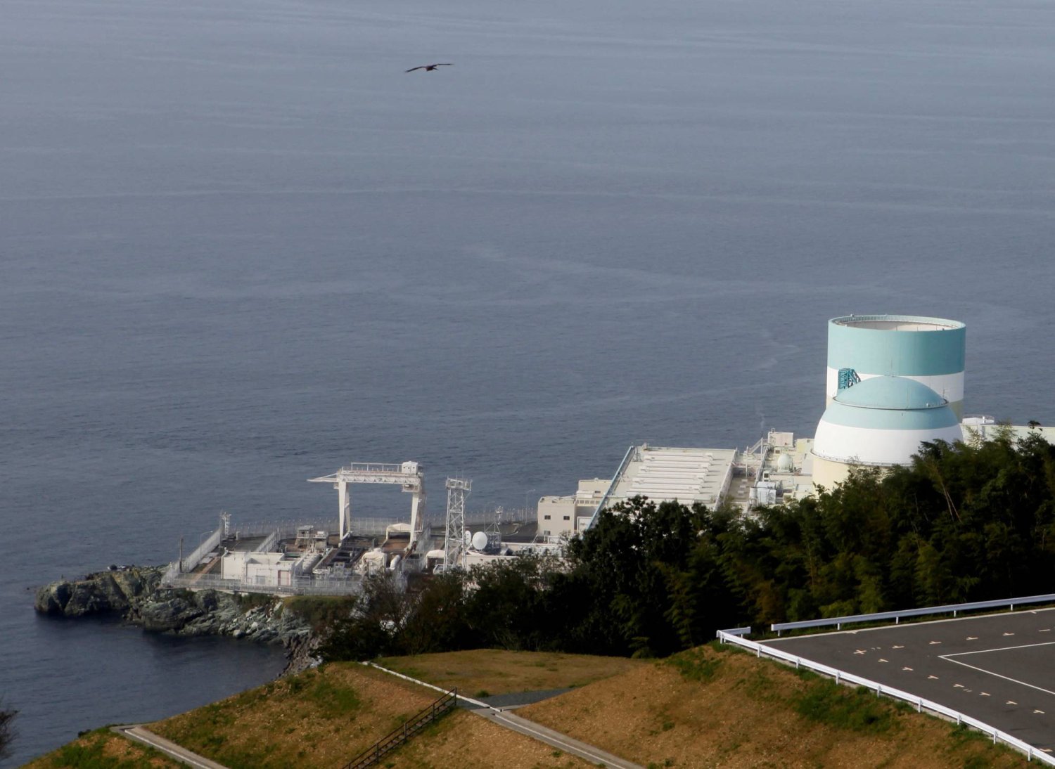 محطة إيكاتا للطاقة النووية (رويترز)